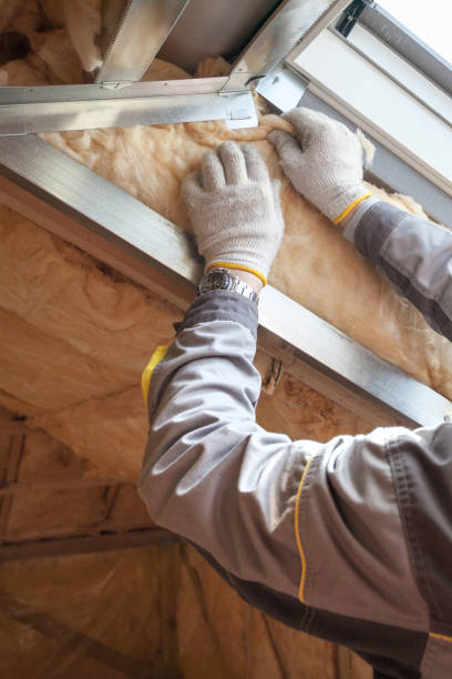 Best Eco-Friendly Insulation in Menomonie, WI